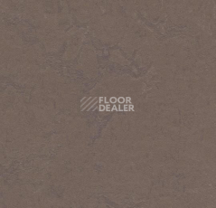 Кварцвиниловые полы Forbo Marmoleum Modular t3568 delta lace фото 1 | FLOORDEALER
